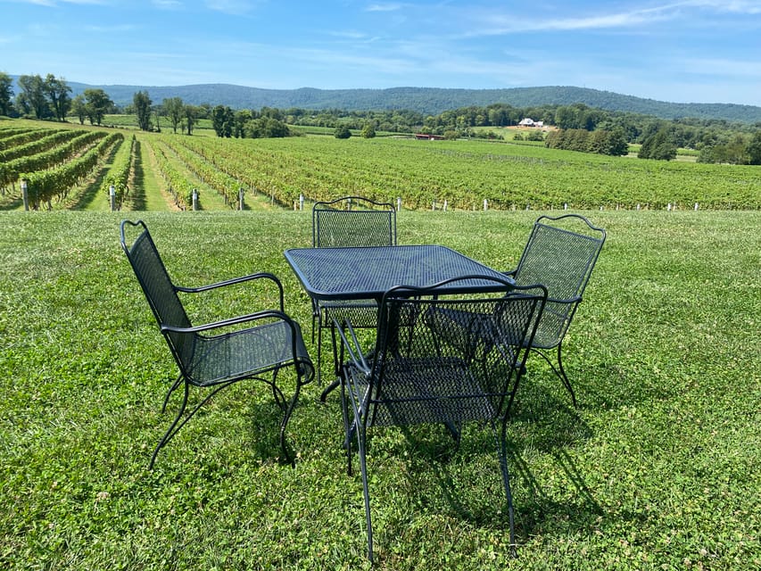 Virginia Wineries Tours: Experience Virginia Wineries | GetYourGuide