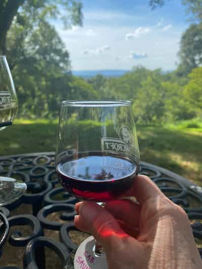 Virginia Wineries Tours: Experience Virginia Wineries | GetYourGuide