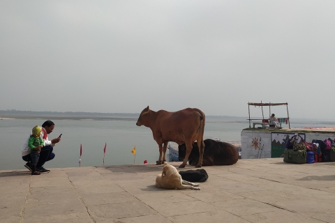 Jednodniowa wycieczka do Waranasi - pływanie łódką, spacery, świątynia jogi, zapasyJednodniowa wycieczka do Varanasi