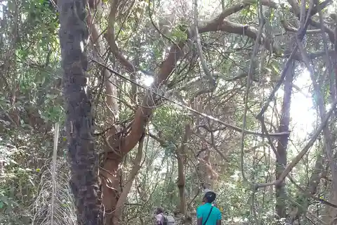 Visite d'une demi-journée consacrée à l'observation des oiseaux.