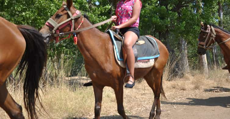 From Bodrum/Gümbet: Guided Horseback Riding Expereince