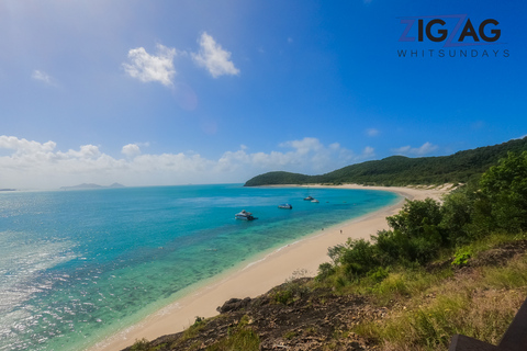 Airlie Beach : Plages de Whitehaven et Chalkies avec plongée en apnée