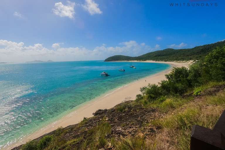 Airlie Beach : Plages de Whitehaven et Chalkies avec plongée en apnée