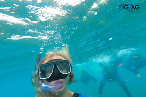 Airlie Beach: Praias de Whitehaven e Chalkies com mergulho com snorkel