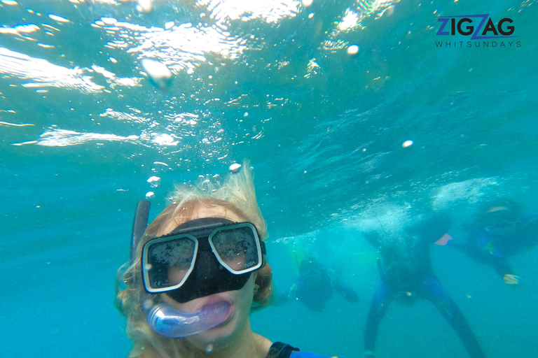 Airlie Beach: Whitehaven & Chalkies stranden met snorkelen