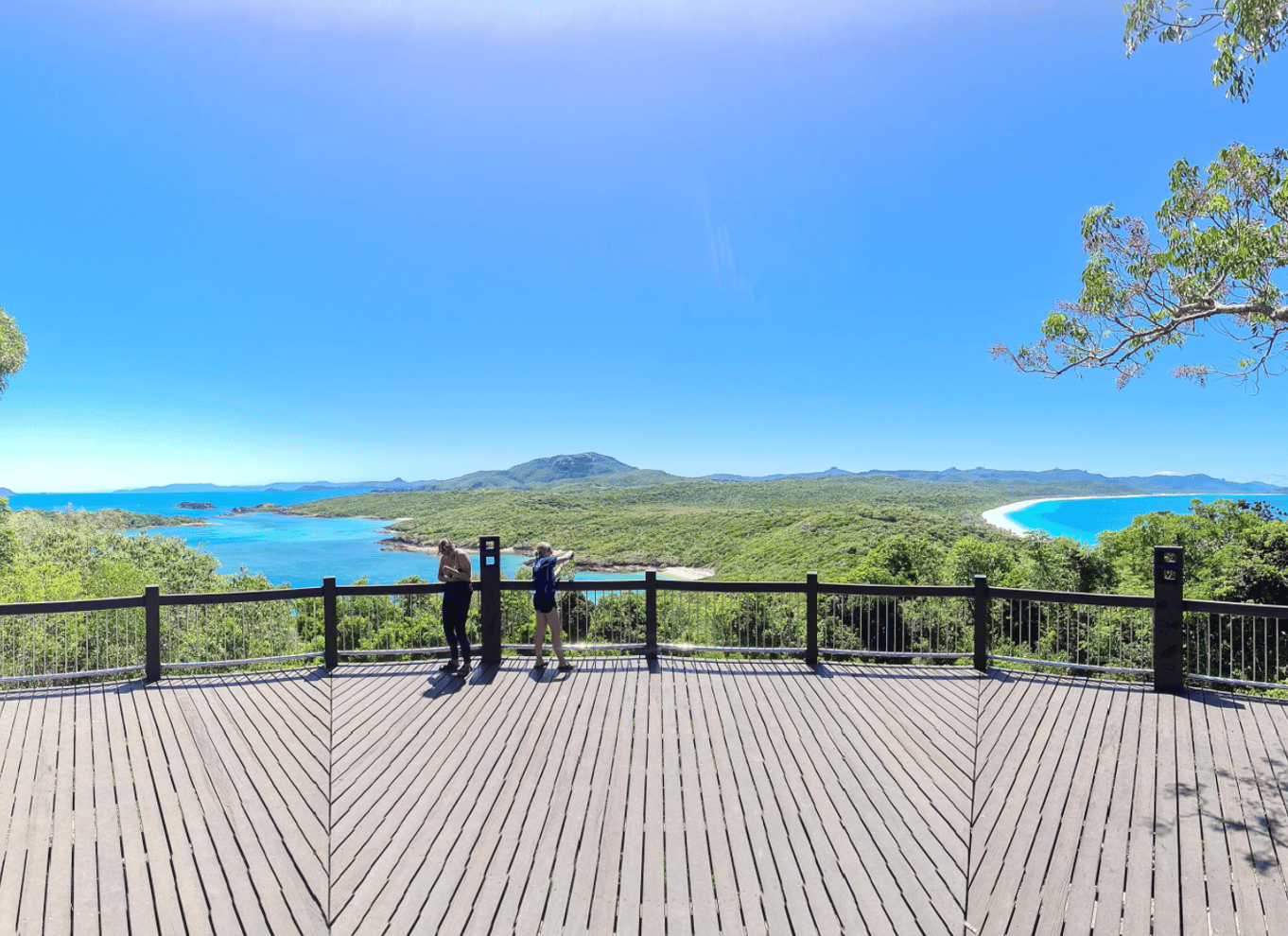 Airlie Beach: Whitehaven & Chalkies Beaches med snorkling