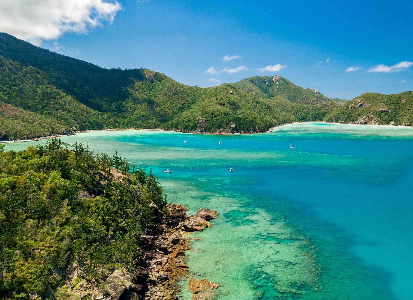 Airlie Beach: Whitehaven & Chalkies Beaches med snorkling