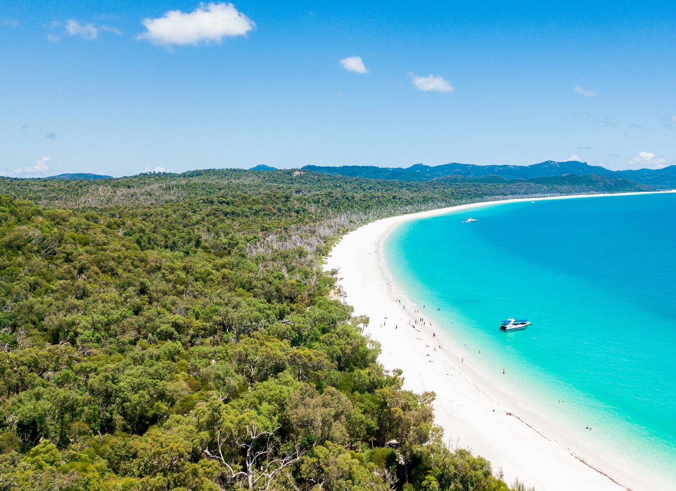 Airlie Beach: Whitehaven & Chalkies Beaches med snorkling