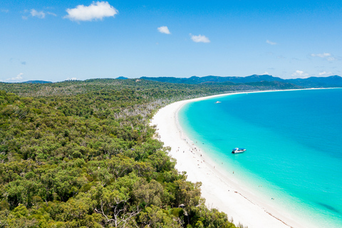 Airlie Beach : Plages de Whitehaven et Chalkies avec plongée en apnée