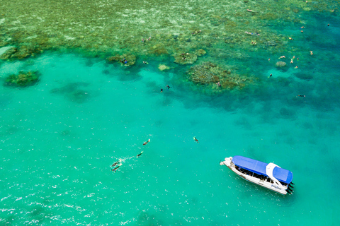 Airlie Beach: Whitehaven &amp; Chalkies Beaches med snorkling