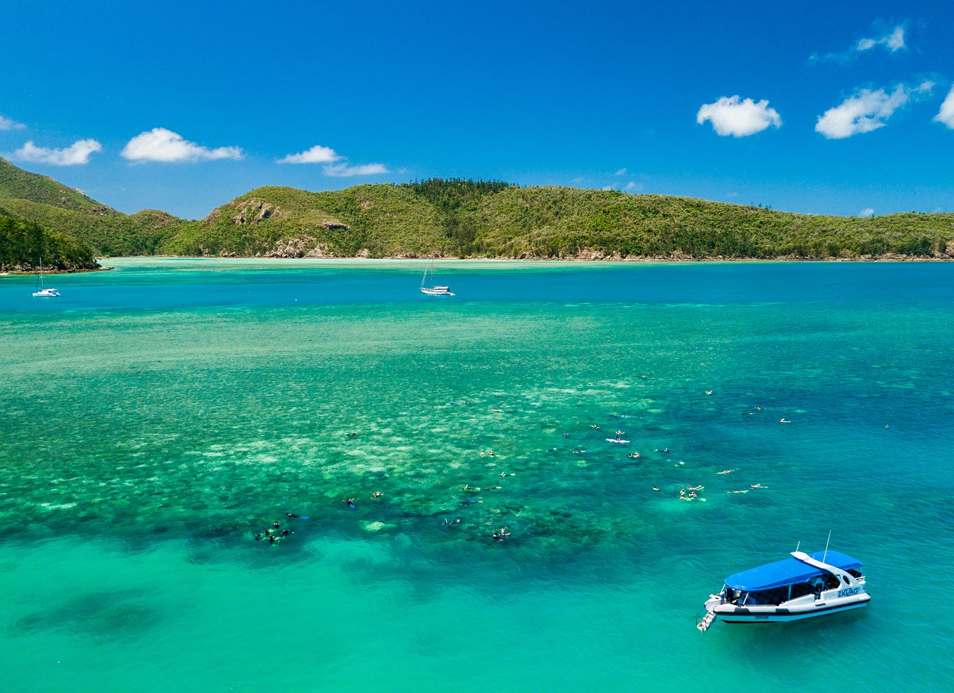 Airlie Beach: Whitehaven & Chalkies Beaches med snorkling