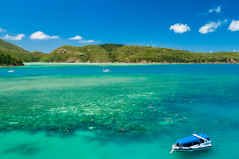 Airlie Beach : Plages de Whitehaven et Chalkies avec plongée en apnée