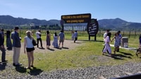 Visite en vin d'une journée à Napa & Sonoma 3 dégustations incluses - Housity