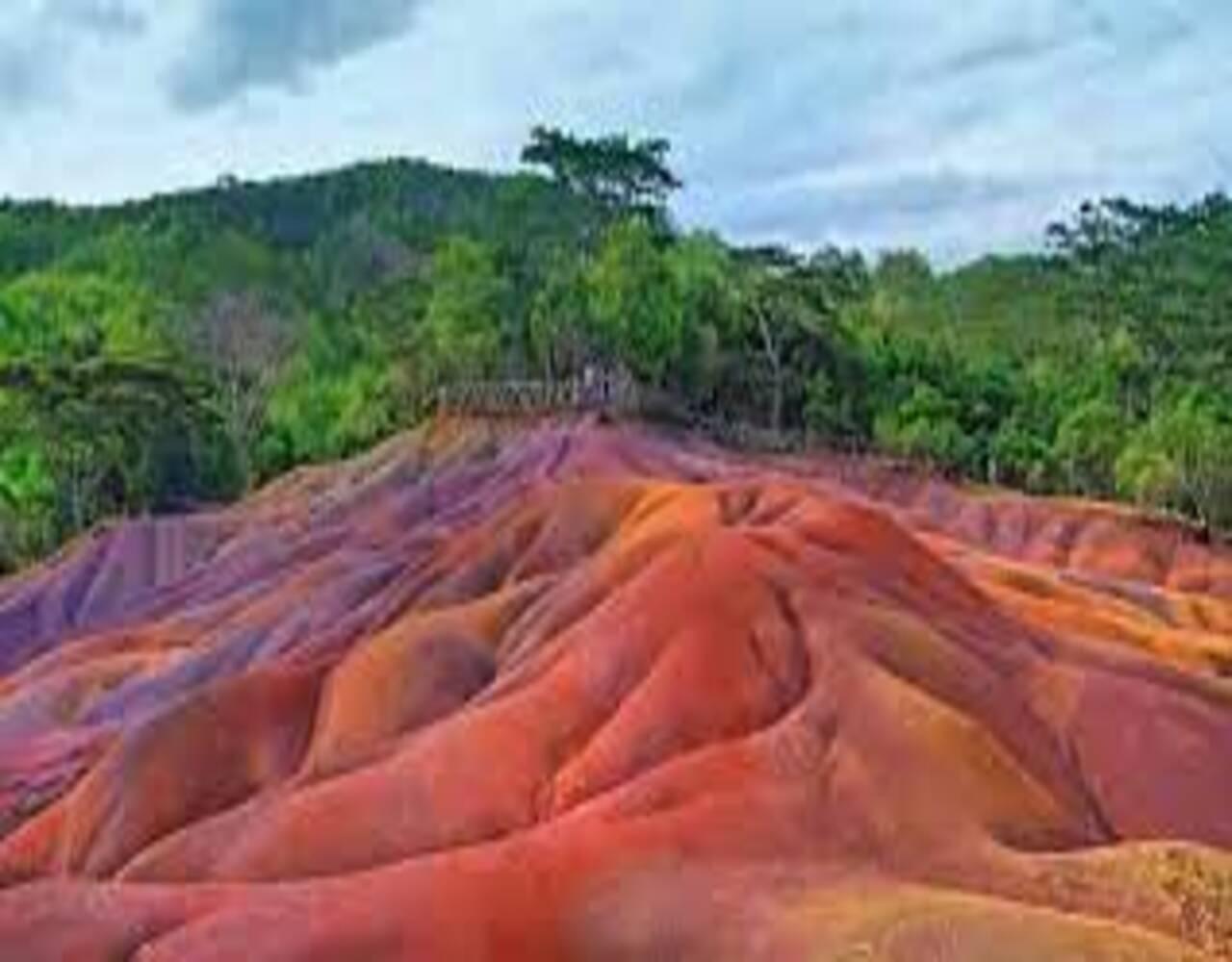 Wild South West Private Tour mit Abholung
