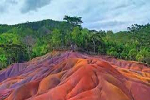 Wild South West Private Tour mit Abholung