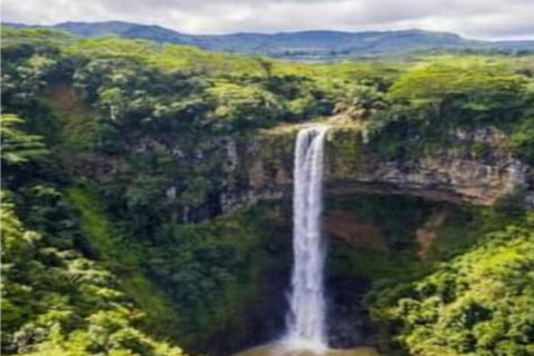 Tour Privado del Suroeste Salvaje con recogida