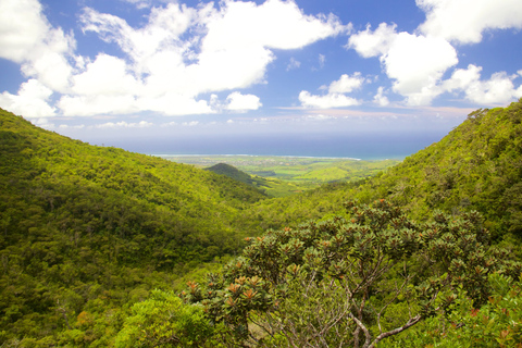Tour Privado del Suroeste Salvaje con recogida