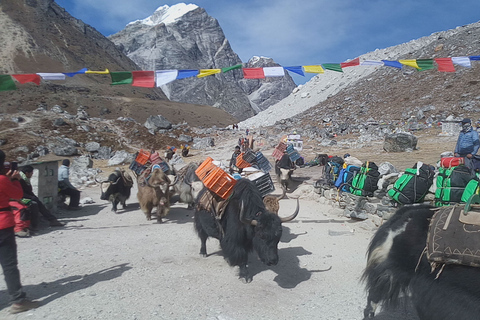 Trekking do bazy pod Everestem