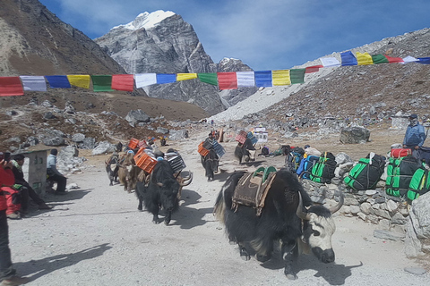 Caminhada no acampamento base do Everest