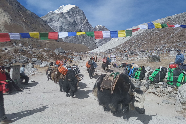 Everest Base Camp Trek