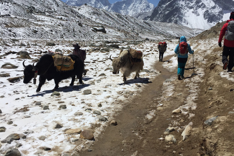 Caminhada no acampamento base do Everest