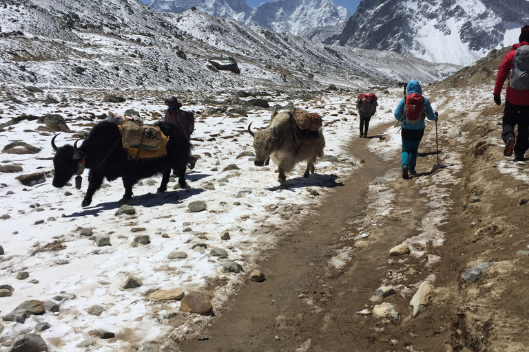 Trekking do bazy pod Everestem