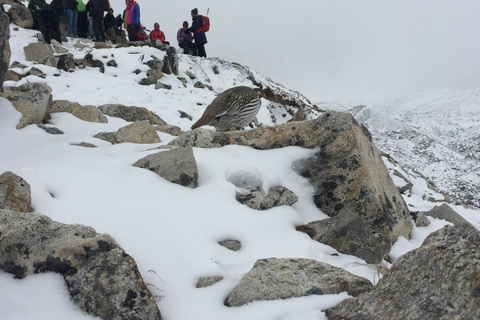 Caminhada no acampamento base do Everest