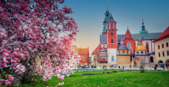 Wawel Hill Tour with Audio Guide