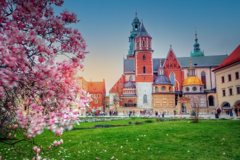 Wawel Hill Tour with Audio Guide Spanish Audioguide