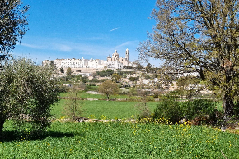 Alberobello: E-Bike-tur till Locorotondo med glass