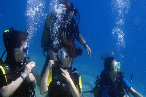 Fethiye: 2 Guided Scuba Dives with Lunch and Hotel Transfers