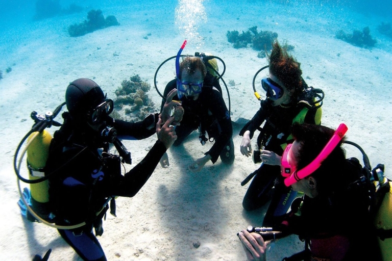 Fethiye: 2 Guided Scuba Dives with Lunch and Hotel Transfers