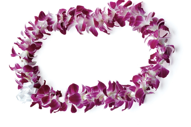 Honolulu Airport Arrival Private Transfer with Lei Greeting