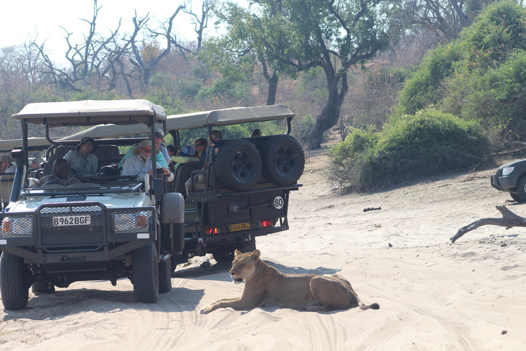 7-daagse Livingstone Classic Safari Tour: Khwai, Savuti &amp; Chobe