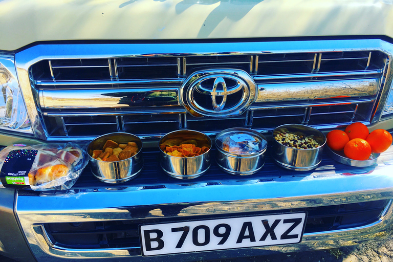 7-daagse Livingstone Classic Safari Tour: Khwai, Savuti &amp; Chobe