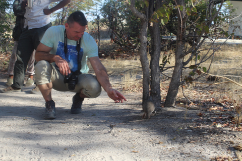 7-daagse Livingstone Classic Safari Tour: Khwai, Savuti &amp; Chobe
