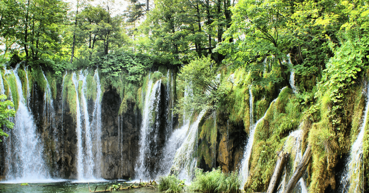 Private Full - Day Tour: Plitvice Lakes from Dubrovnik | GetYourGuide