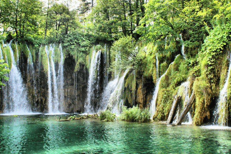 Tour privato di un&#039;intera giornata: laghi di Plitvice da Dubrovnik