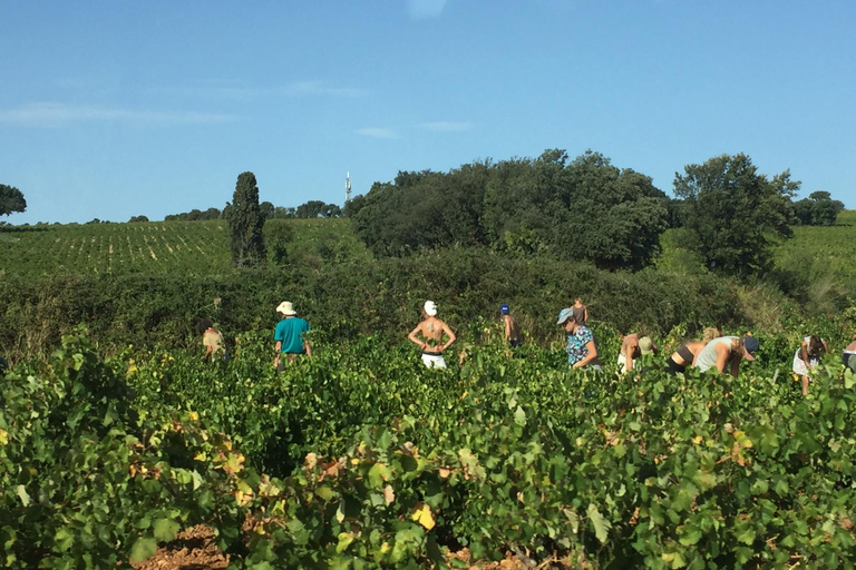 La Provence à votre rythme !