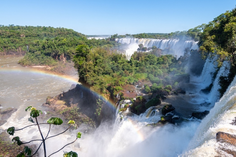 Depuis Foz do Iguaçu : Chutes argentines d'Iguazu avec billetVisite privée des chutes d'Argentine