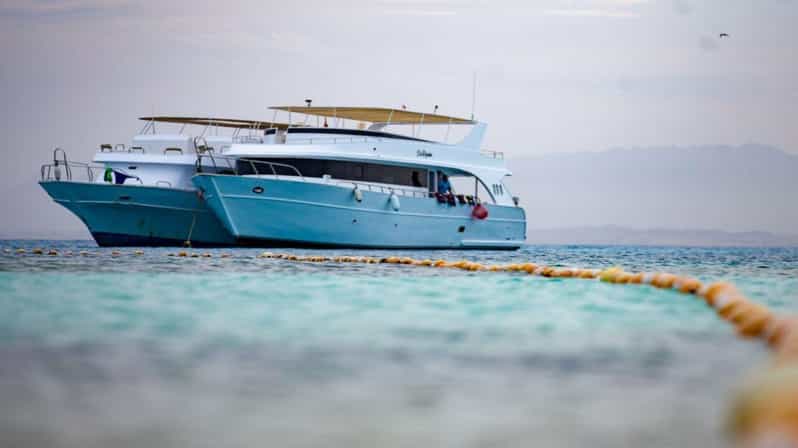Hurghada: Paradise Island Snorkeling Cruise with Lunch | GetYourGuide