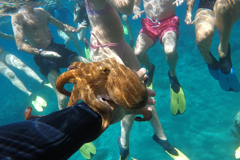 Milos: Half-Day Speedboat Cruise to Kleftiko with Snorkeling Shared Half-Day Speedboat Cruise with Snorkelling