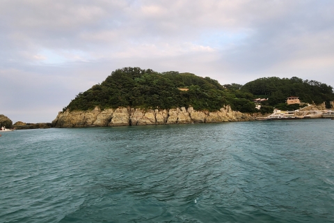 Wyspa Geoje: prywatne lub wspólne jednodniowe wycieczki (maks. 6)Geoje Custom Day Tour (grupa prywatna)
