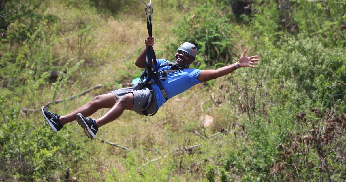 Oahu 3 Ziplines and Coral Crater Tour with Transfer GetYourGuide
