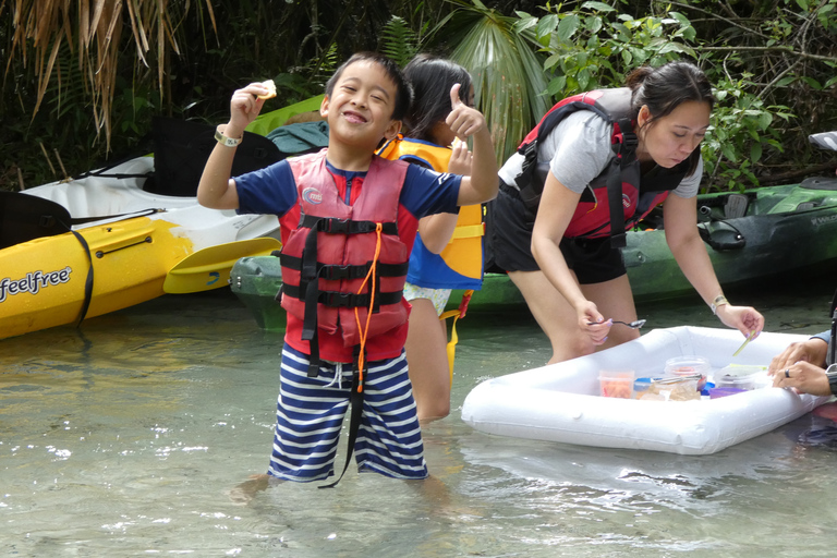 Orlando: Small Group Rock Springs Run Kayak Tour Orlando: Rock Springs Run Kayak Tour with Picnic Lunch