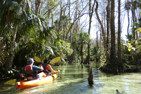 Orlando: Small Group Rock Springs Run Kayak Tour Orlando: Rock Springs Run Kayak Tour with Picnic Lunch