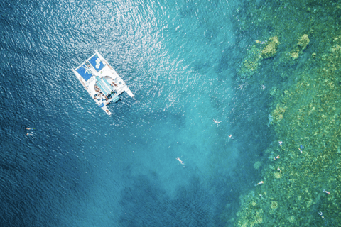 Ka'anapali Beach: Schnorcheln am Korallenriff und Schildkröten beobachten