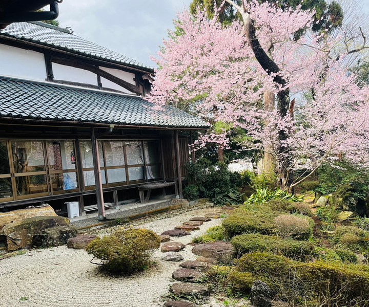 Silence Retreat at a Temple with English Speaking Monk