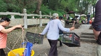 Yangshuo, Full-Day Private Countryside Hiking Tour - Housity
