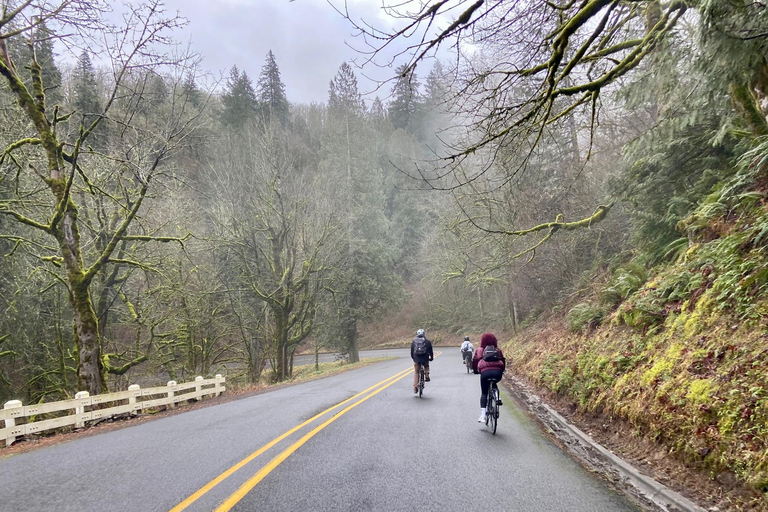 Portland: Columbia Gorge Scenic Bikeway Full-Day Ride
